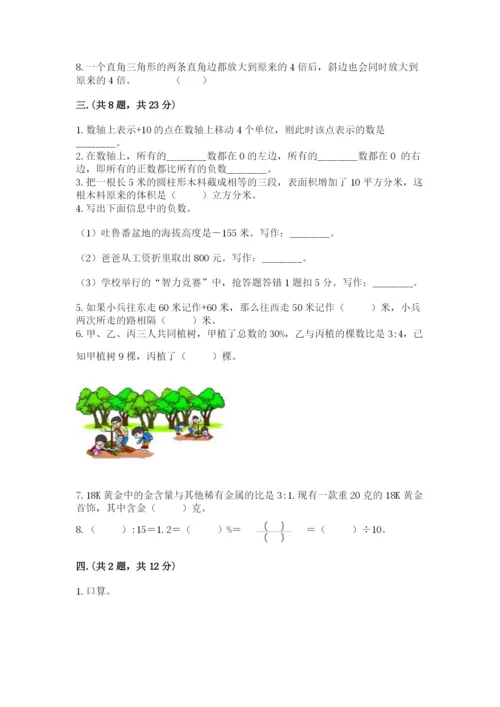 苏教版六年级数学小升初试卷含完整答案【精品】.docx