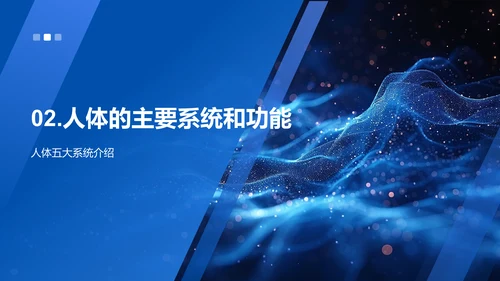 解析人体科学PPT模板