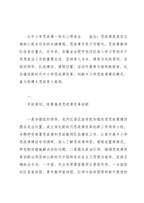 大中小学思政课一体化心得体会.docx