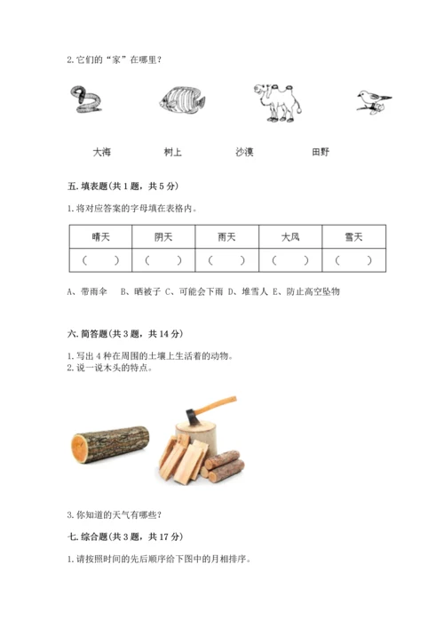 教科版二年级上册科学期末测试卷完整参考答案.docx