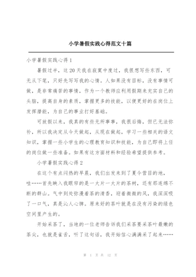 小学暑假实践心得范文十篇.docx