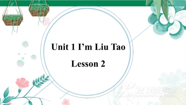 Unit 2 I‘m Liu Tao  Lesson 2 课件（共37张PPT)