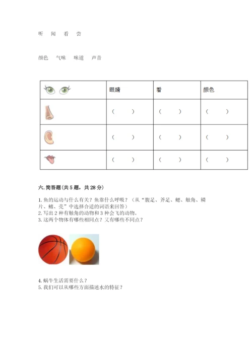 教科版小学科学一年级下册期末测试卷【巩固】.docx