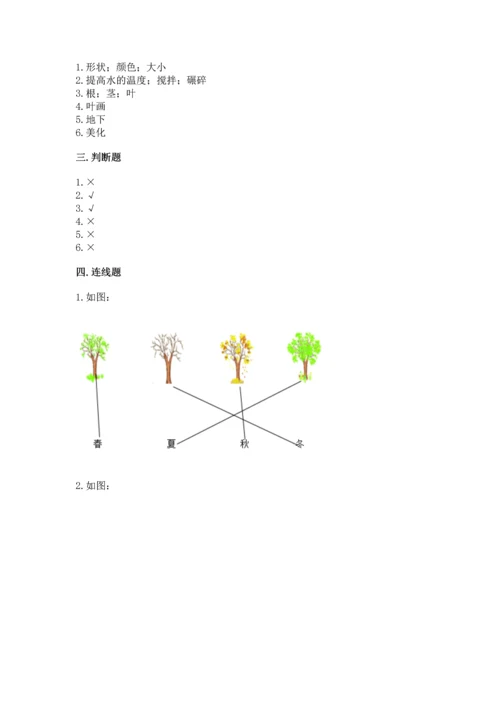 教科版科学一年级上册第一单元《植物》测试卷附参考答案【培优】.docx