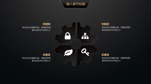 黑金轻奢商业计划书通用PPT模版