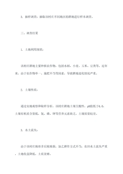 耕地成因排查报告模板