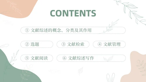 莫兰迪风如何写好文献综述PPT课件
