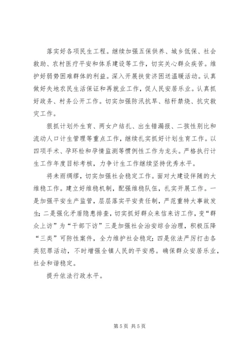 新镇民生管理发展计划.docx