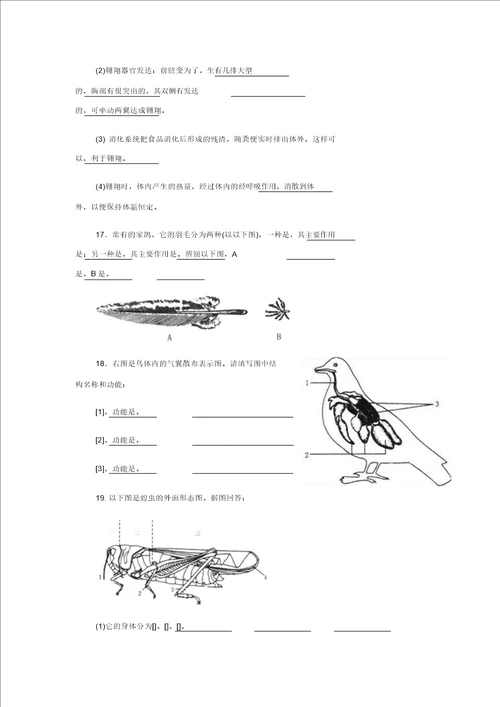 生物八年级上人教新课标5.1.3空中飞行的动物习题精选