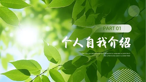 实拍风个人述职报告PPT模板