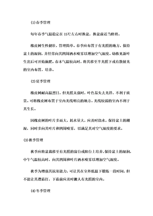 办公室各种花卉养殖方法及注意事项