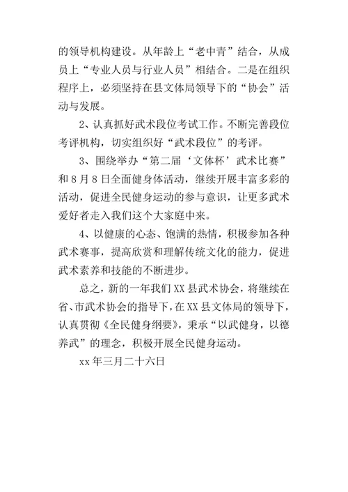 武术协会某年工作总结