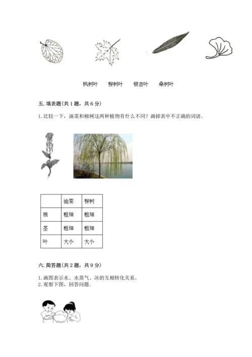 教科版科学一年级上册第一单元《植物》测试卷附答案（b卷）.docx