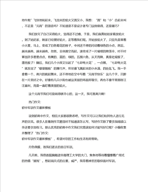 热门作文最新元宵初中作文