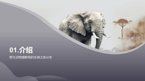 探索非洲野生动物之旅