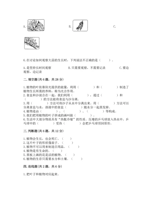 教科版科学一年级上册第一单元《植物》测试卷带答案（满分必刷）.docx