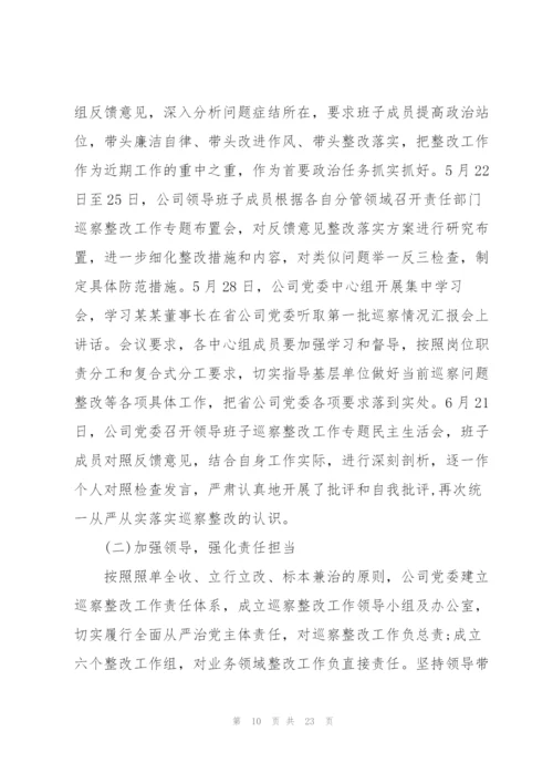 巡察整改工作主要负责人组织落实情况报告.docx