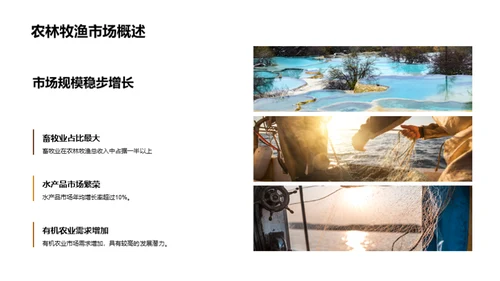 农业收益动态解析