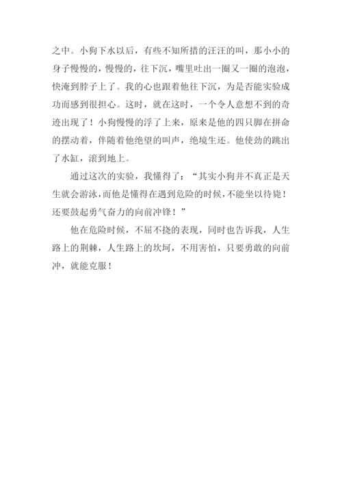 天生的游泳专家作文800字.docx