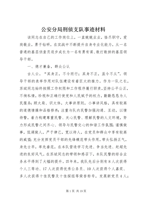 公安分局刑侦支队事迹材料.docx