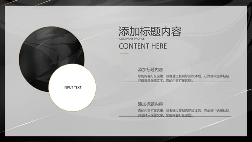 黑金轻奢风商业计划书PPT模板