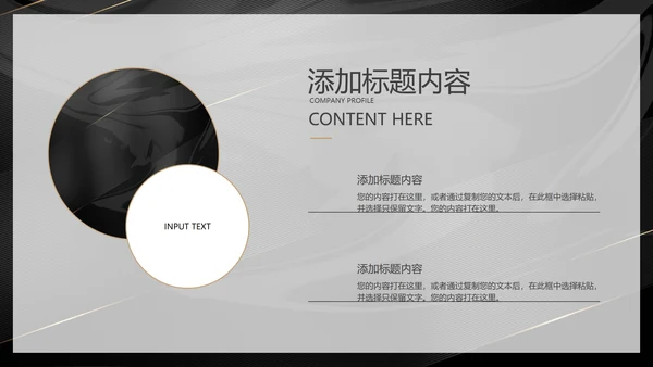 黑金轻奢风商业计划书PPT模板