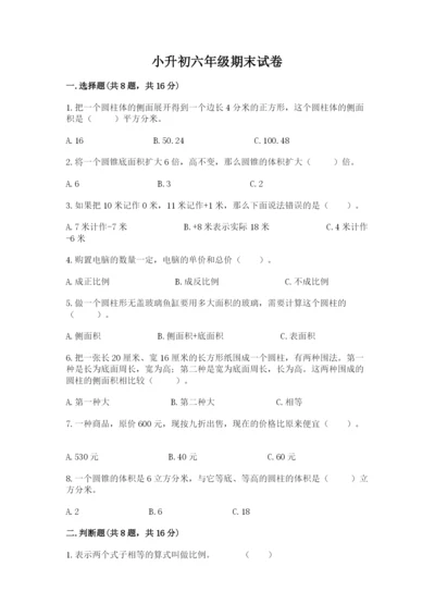 小升初六年级期末试卷精品【名师推荐】.docx