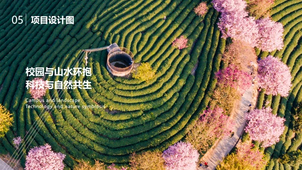 简约风大学生小组作业成果展示