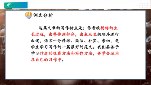 部编版语文三年级上册：第五单元习作例文我家的小狗vs我爱故乡的杨梅   课件（共22张PPT）