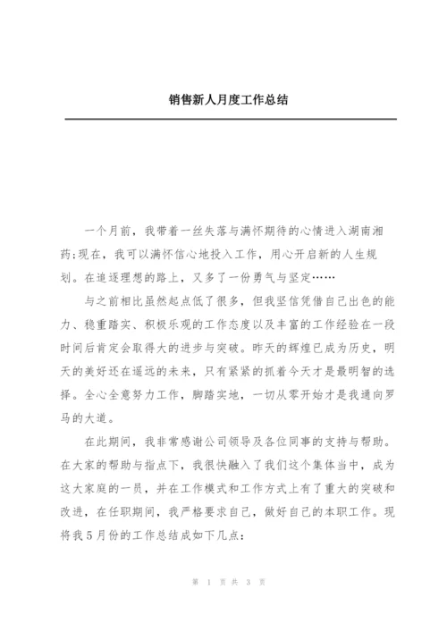 销售新人月度工作总结.docx