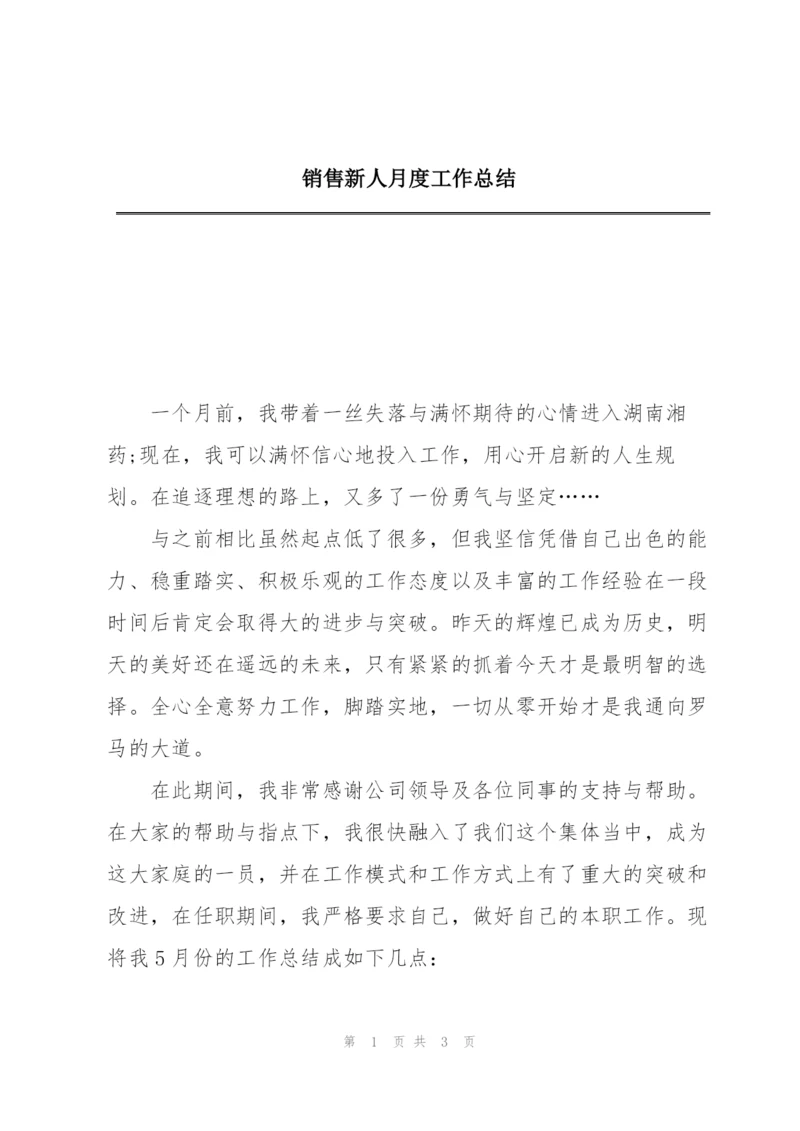 销售新人月度工作总结.docx