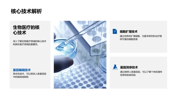 生物医疗月报PPT模板