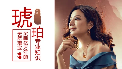 典雅轻奢琥珀藏品专业知识讲座PPT模板