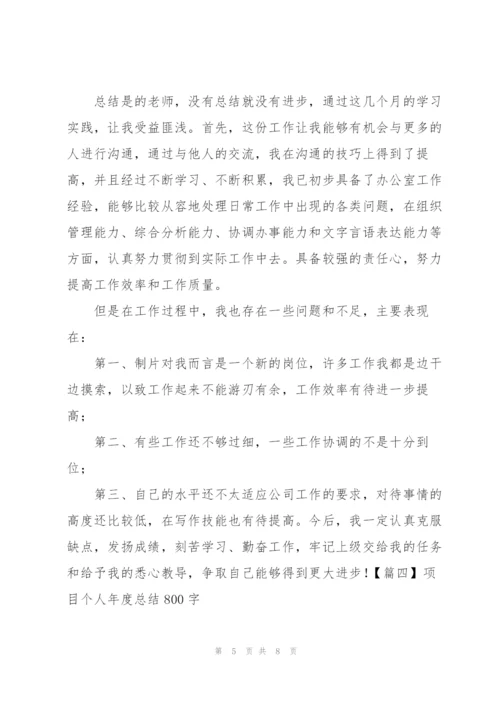 项目个人年度总结800字.docx