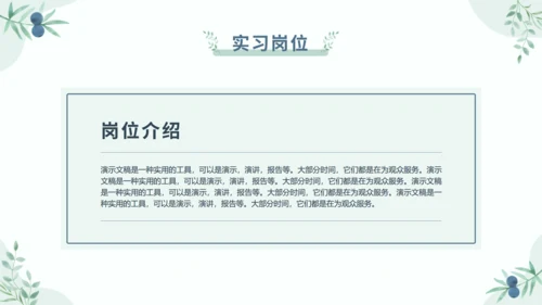 莫兰迪小清新大学生社会实践实习报告