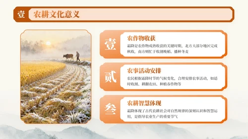 橙色中国风霜降节气知识PPT模板