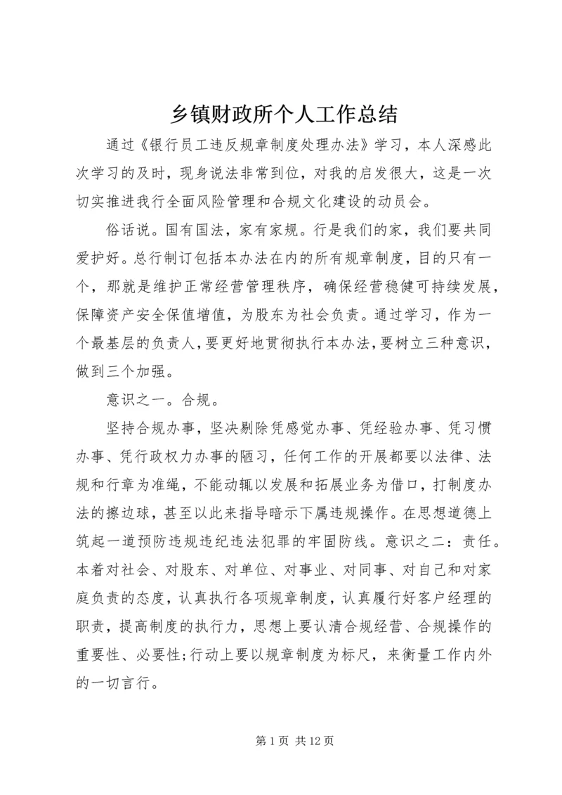 乡镇财政所个人工作总结.docx