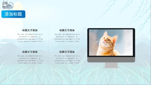 宠物猫咪喵喵成长通用PPT画册