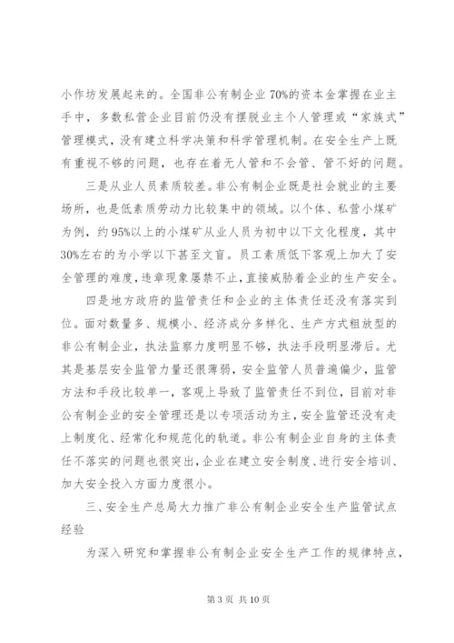 企业安全监管改进方案.docx