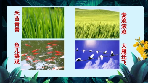 开学第一课+致同学们-【大单元教学】2023-2024学年七年级生物上册同步备课系列（人教版）(共2