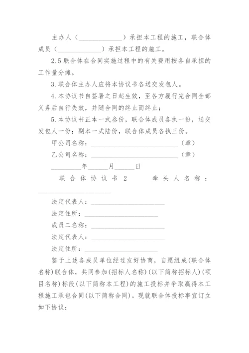 联合体协议书范本.docx