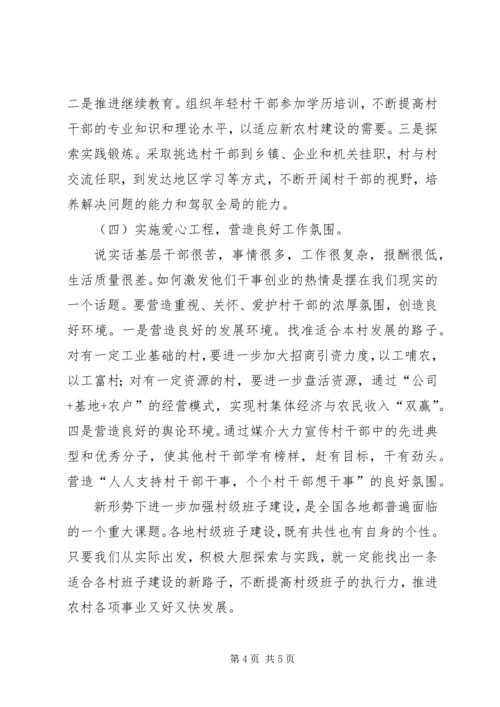 昌图=调研报告加强村级党组织建设的实践与思考5篇 (4).docx
