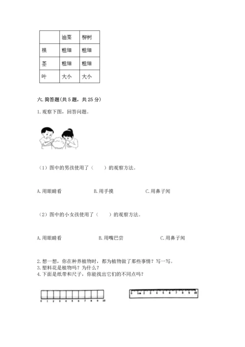 教科版一年级上册科学期末测试卷精品（能力提升）.docx