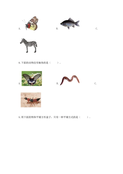 教科版一年级下册科学期末测试卷及参考答案（巩固）.docx