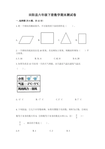 田阳县六年级下册数学期末测试卷必考题.docx