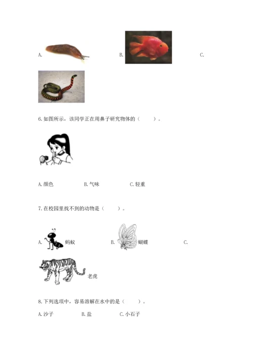 教科版一年级下册科学期末测试卷及参考答案（预热题）.docx