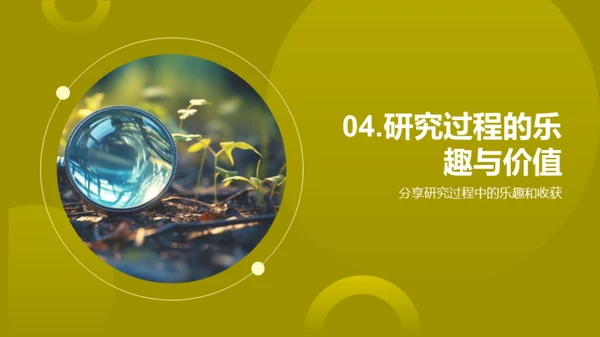历史探秘之旅