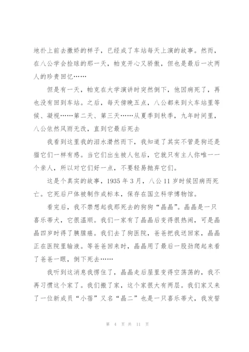 忠犬八公观后心得万能10篇.docx