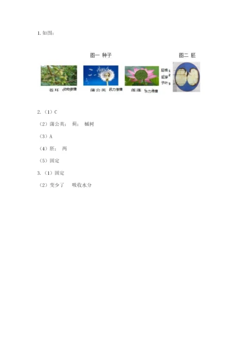 教科版科学四年级下册第一单元《植物的生长变化》测试卷【名师推荐】.docx