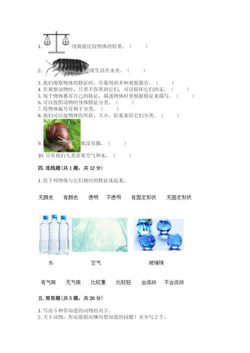 教科版一年级下册科学期末测试卷及参考答案.docx